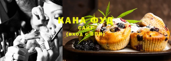 мдпв Бородино