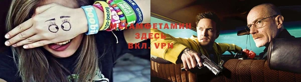 мдпв Бородино