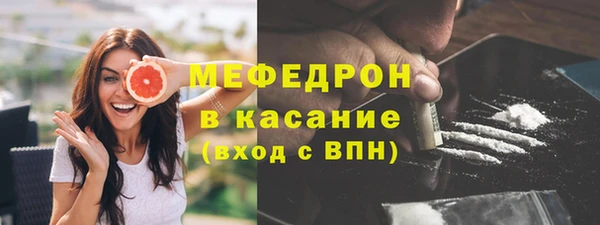 мдпв Бородино