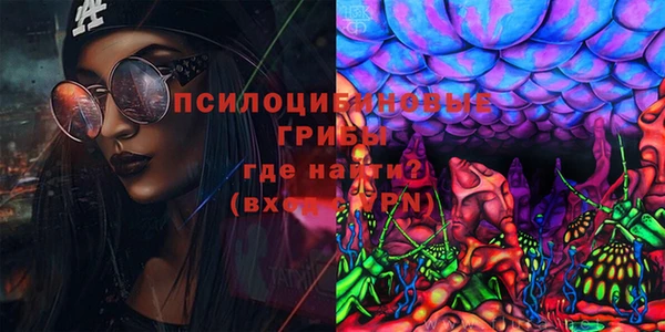 мдпв Бородино