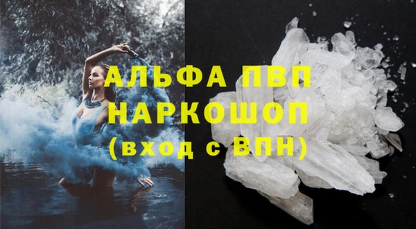 мдпв Бородино