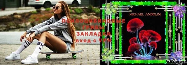 2c-b Богданович