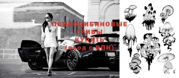 твердый Бугульма