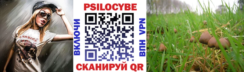 как найти   darknet наркотические препараты  Галлюциногенные грибы Cubensis  Вихоревка 